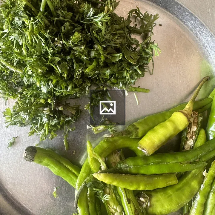 Green Chili and Coriander