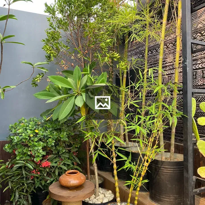 Colorful garden corner with plants and flowers