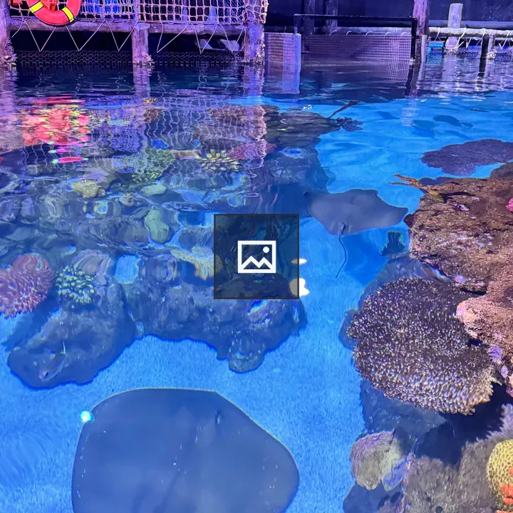 Stingrays Over Coral Reef
