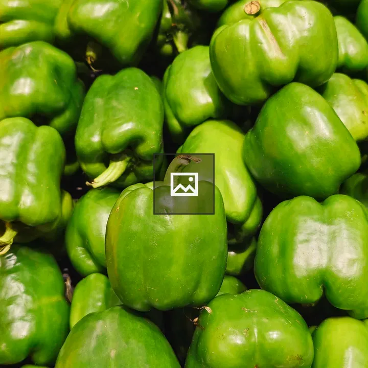 Fresh green capsicums
