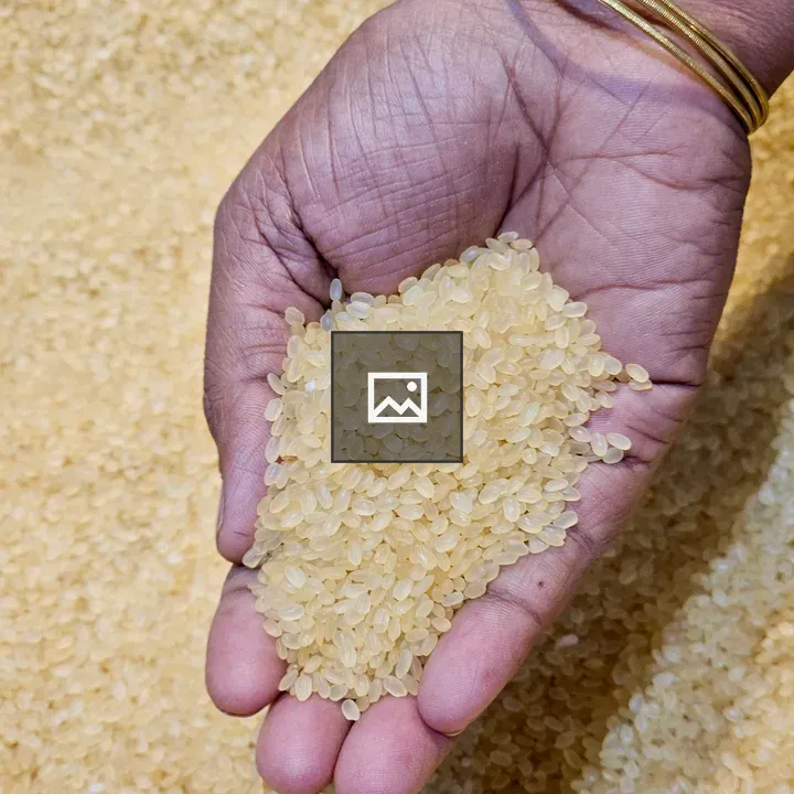 Hand holding double-boiled Kuruva rice