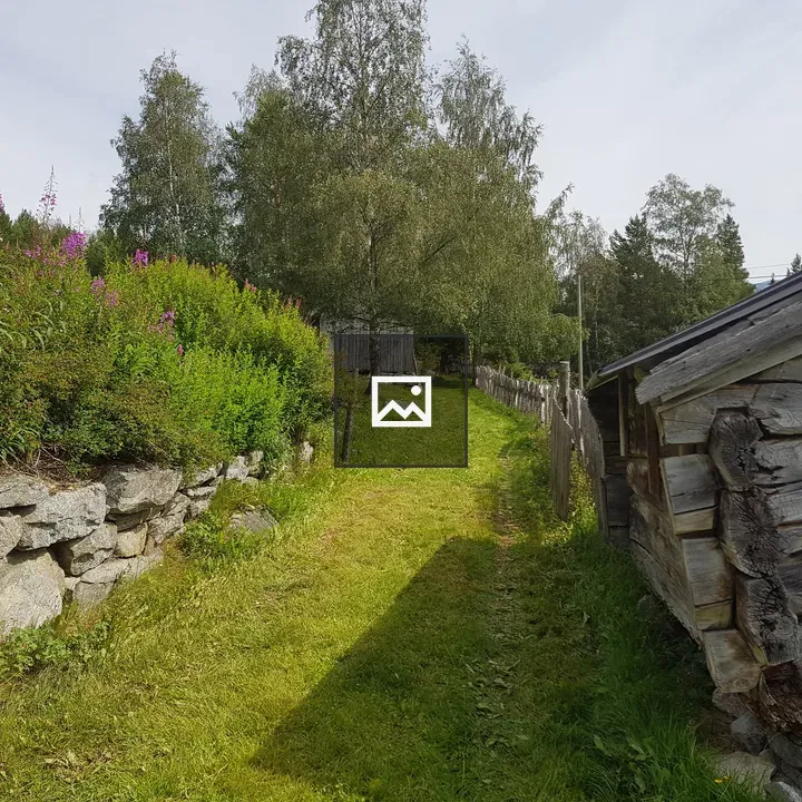 Old cart road among structures