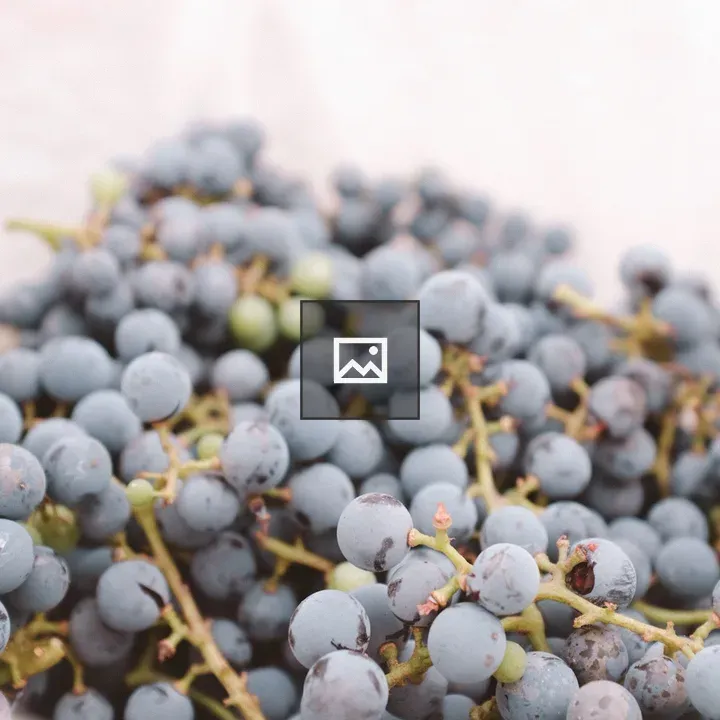 Grapes in White Bucket