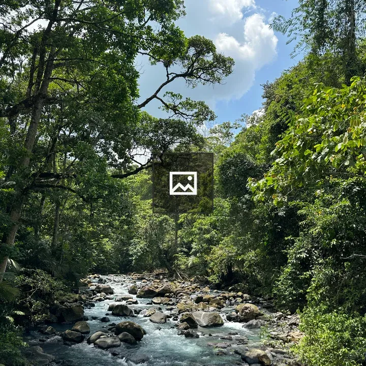 Rio Celeste River Scene