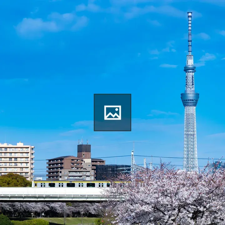 Tokyo Skytree and Cherry Blossoms