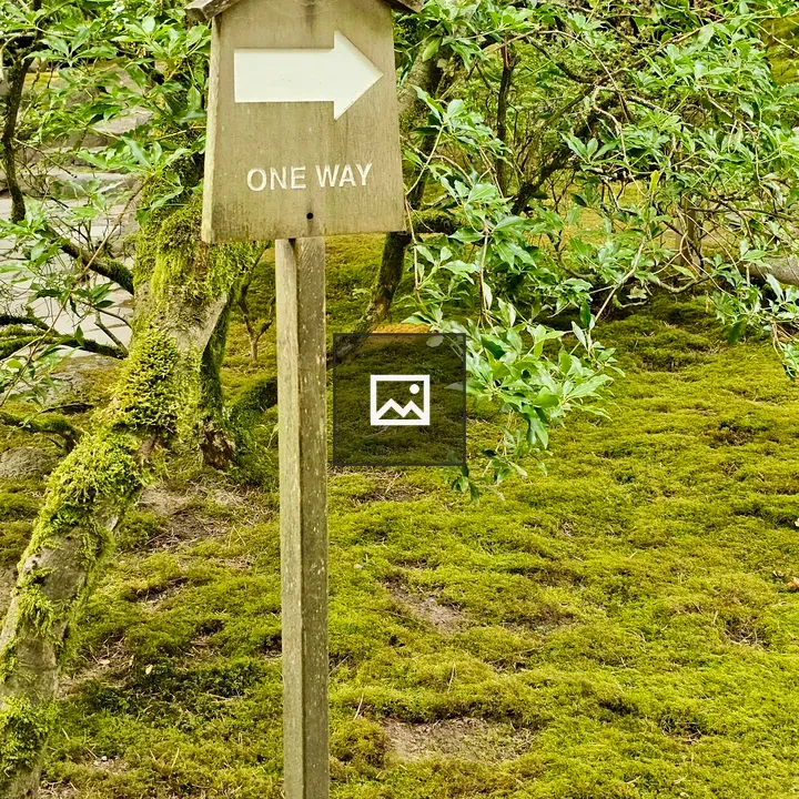 One Way Wooden Sign Portland Garden