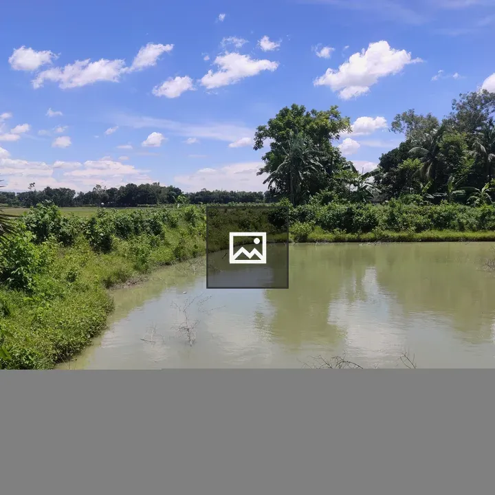 Pond Scene with Blue Sky