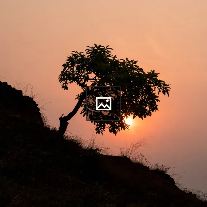 Sunrise Behind Lone Tree