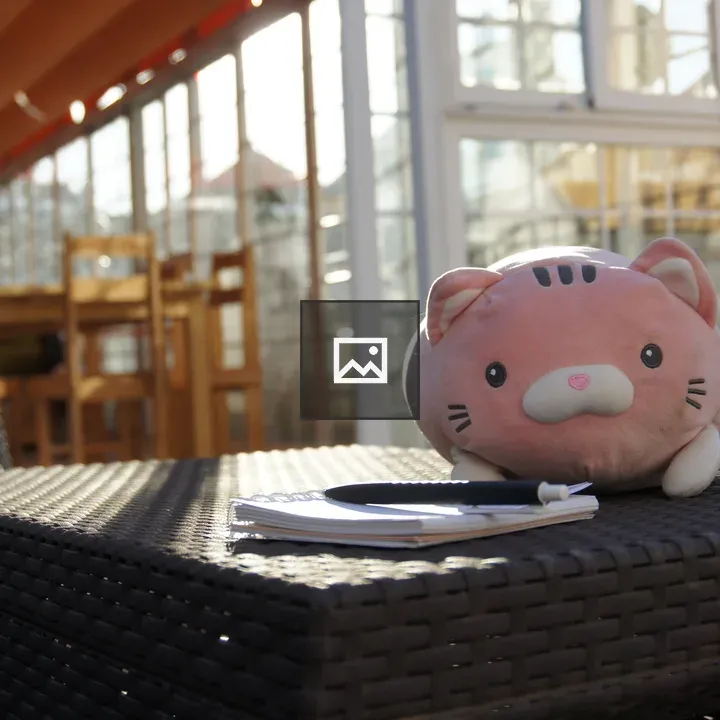 Thick cat plushie on balcony