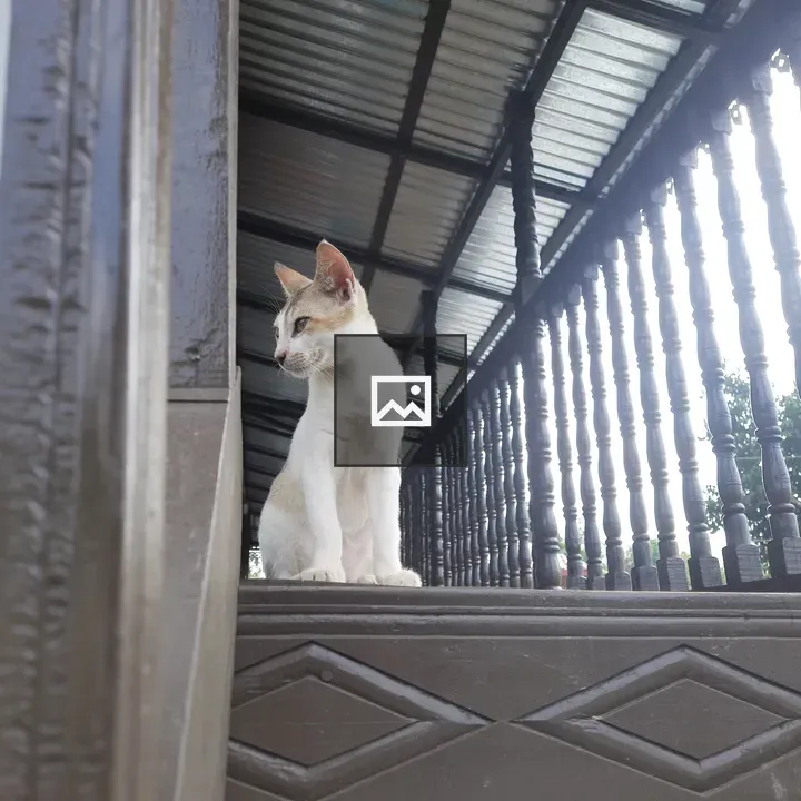 White cat on balcony porch