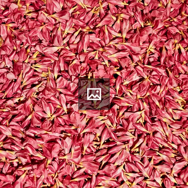 Pink Arali Petal Arrangement