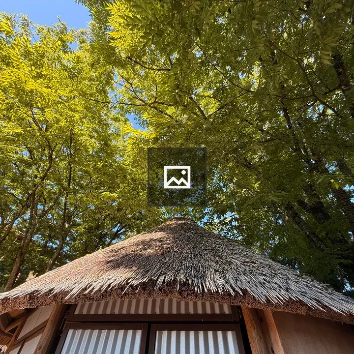 Thatched roof hut