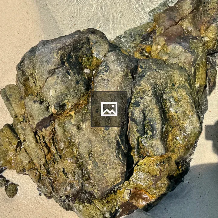 Close-up Rock on Beach
