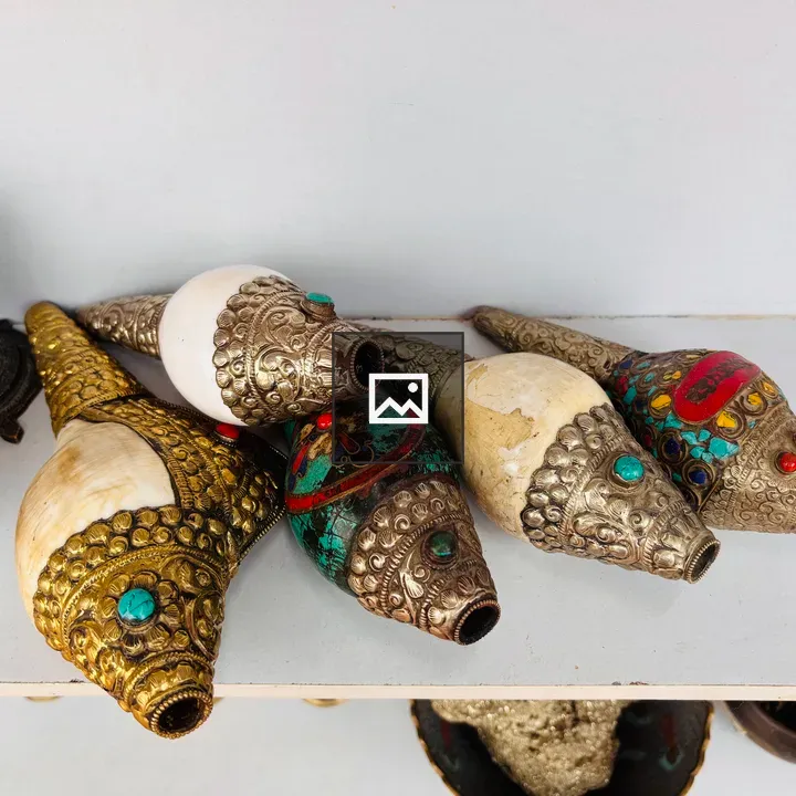 Conch shells with ornate metalwork