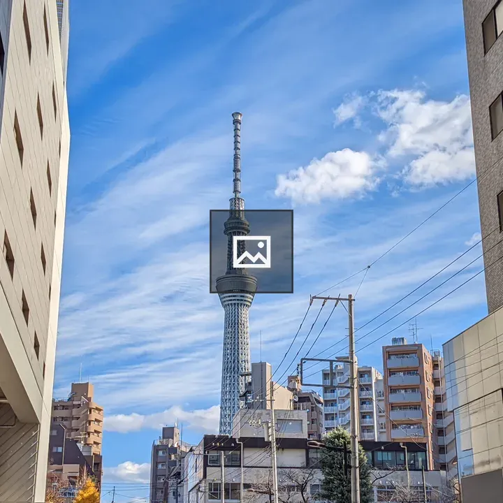 Tokyo Skytree View from Afar