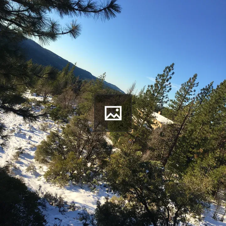 Winter landscape with snow and evergreens