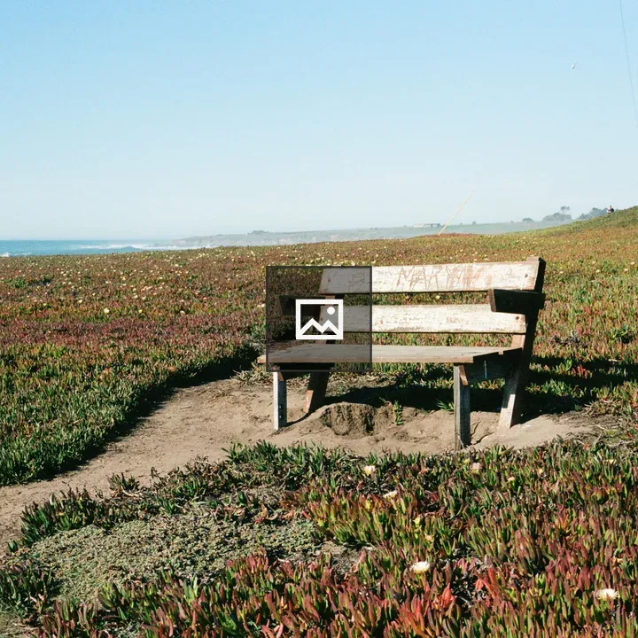Park bench by the ocean
