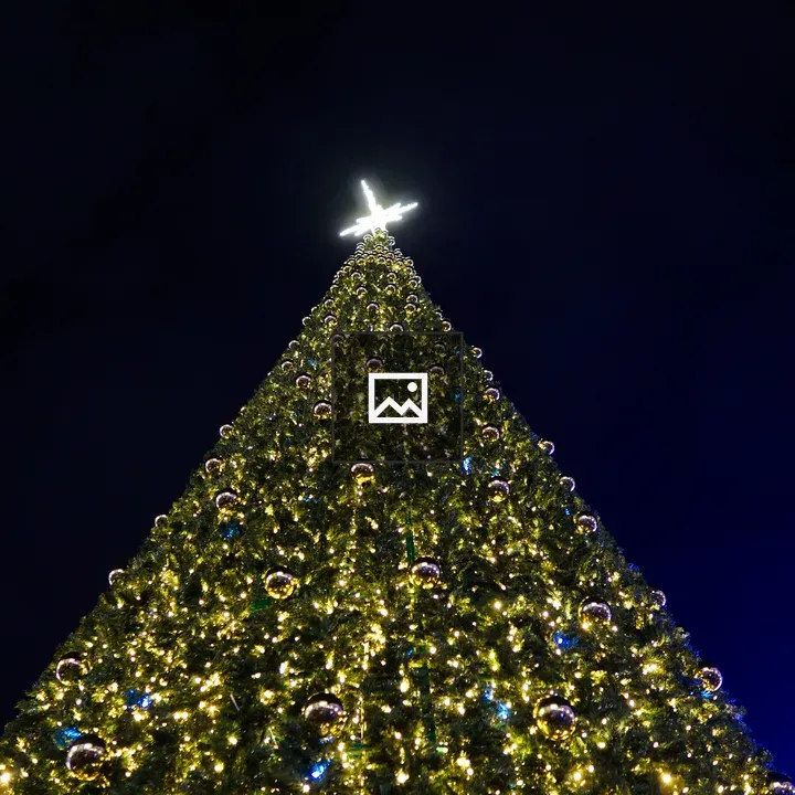 Huge Christmas Tree at Night