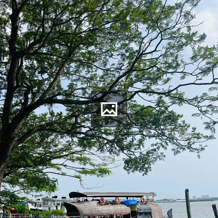 Riverboat Docked by Tree