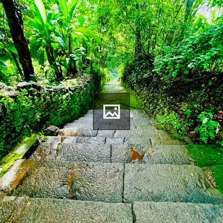 Stone stairs in Kerala village