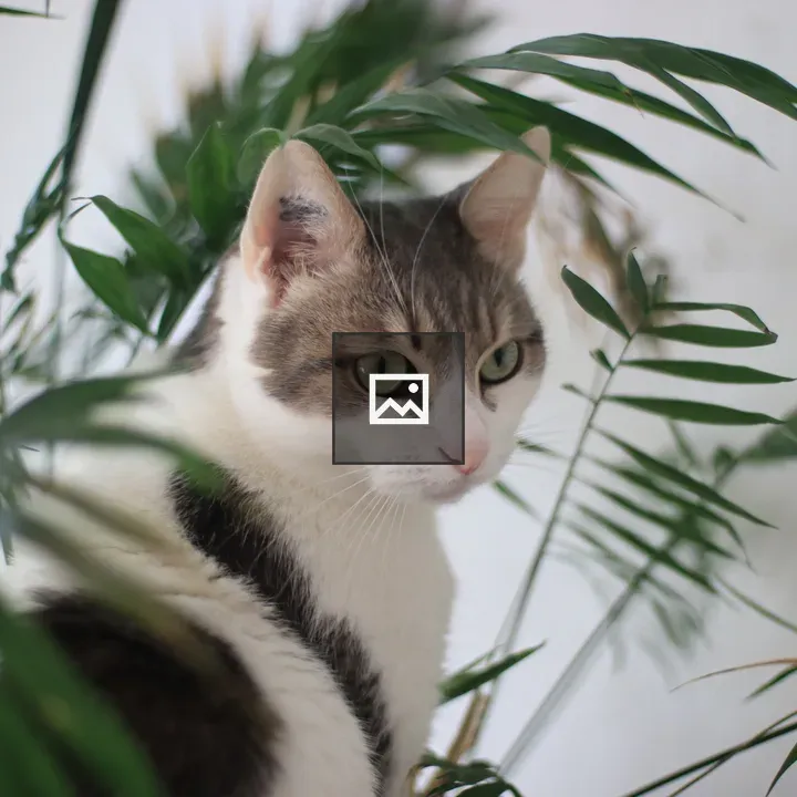 Cat peering through plant leaves