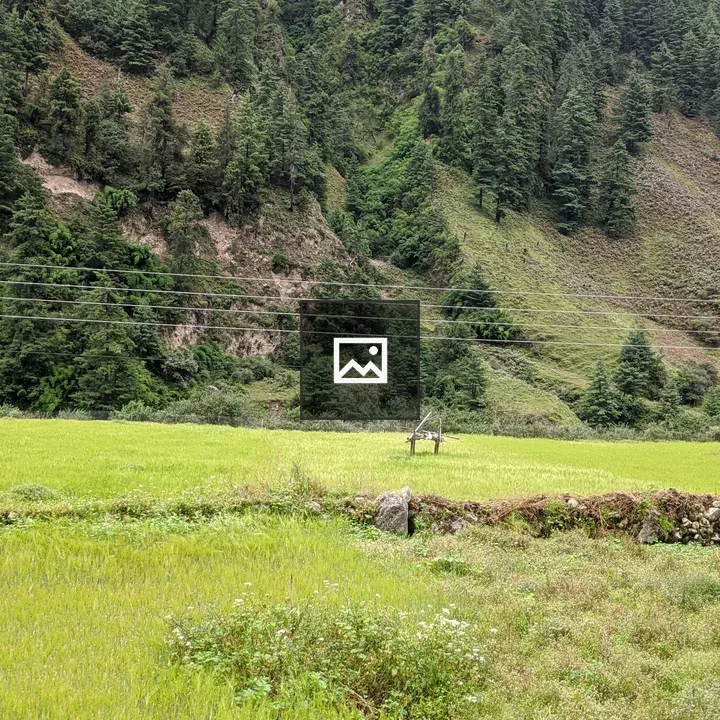 Rice field landscape with rocky fence