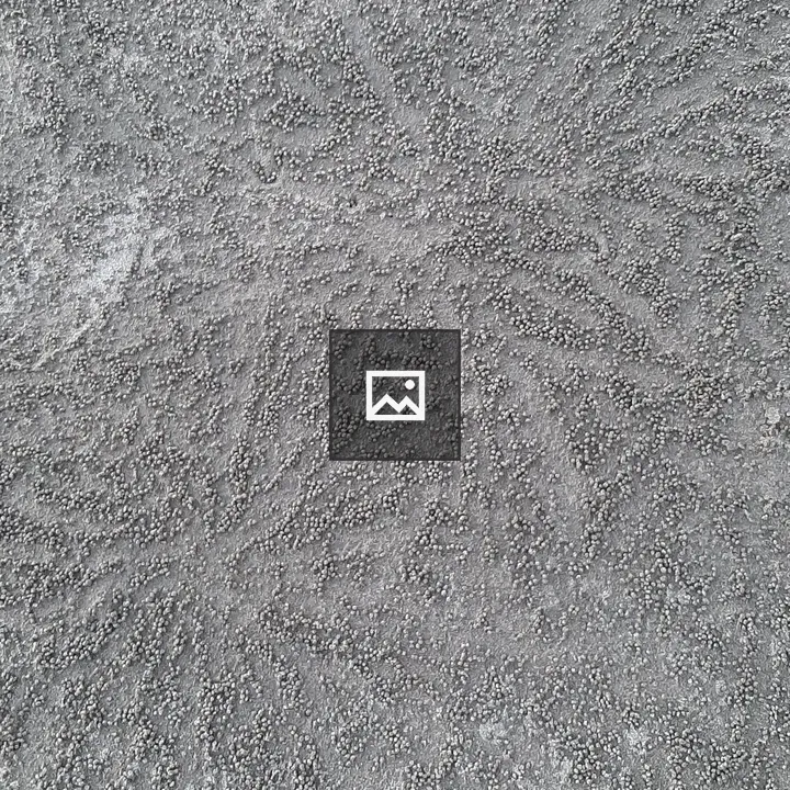 Sand art by baby crabs