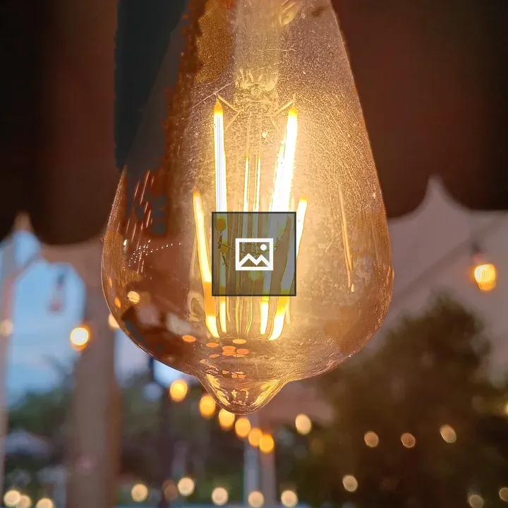 Illuminated Edison bulb