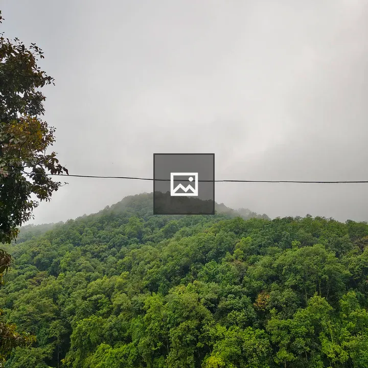 Hillside Forest with River and Mist