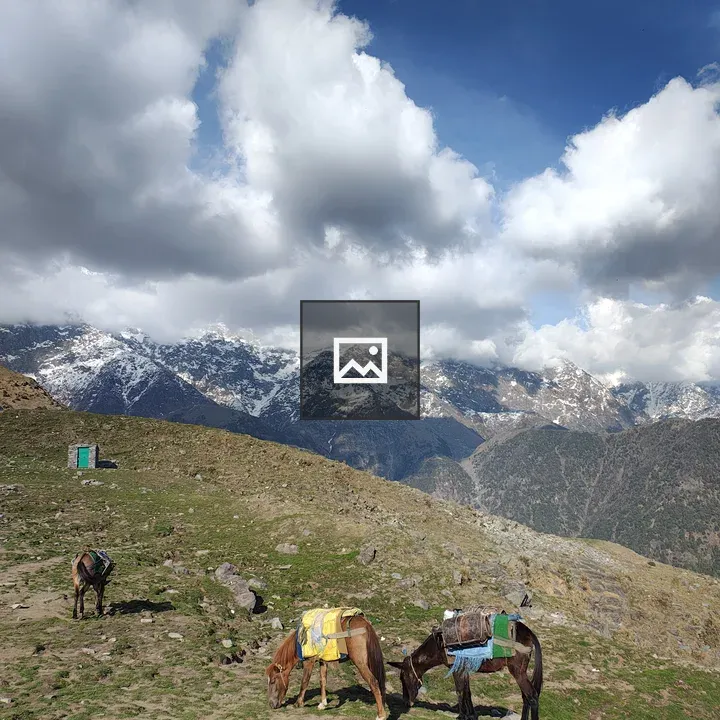 Two horses grazing on mountain slope