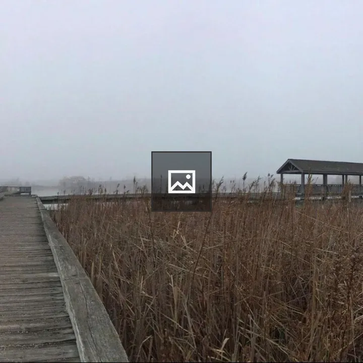 Boardwalk over wetlands