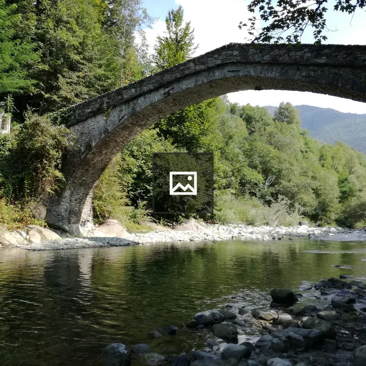 Bridge over forest scene