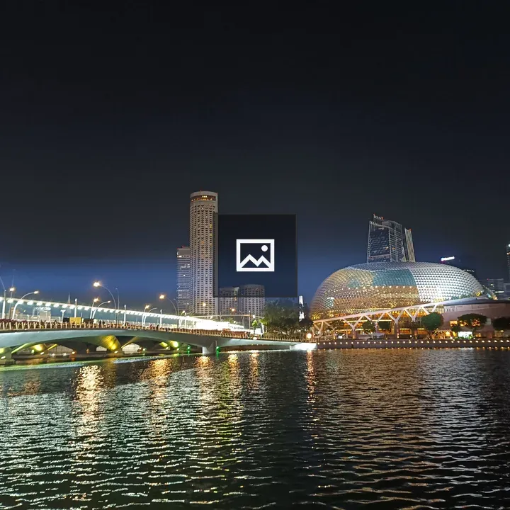 Marina Bay Night Skyline and Bridge