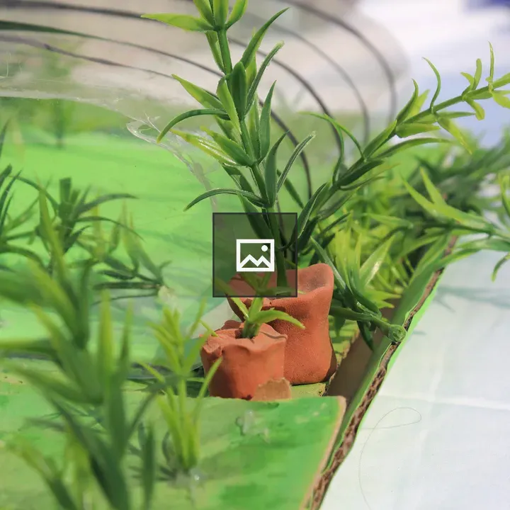 Miniature landscape with green plants