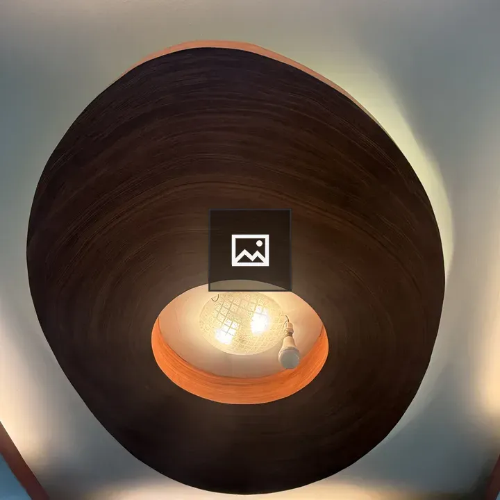 Ceiling light fixture with wooden panel