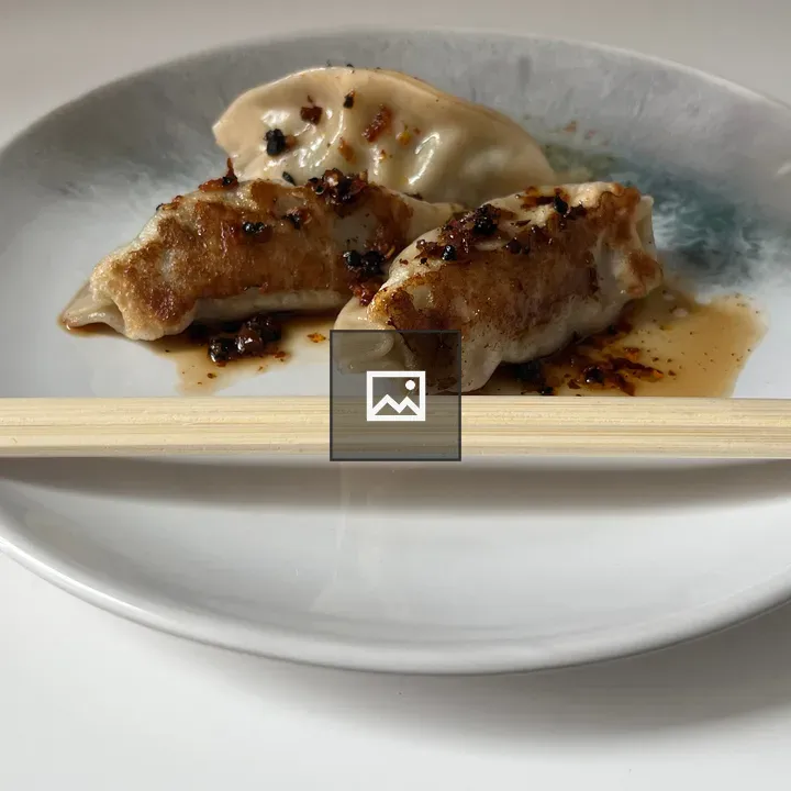 Pan fried pot stickers