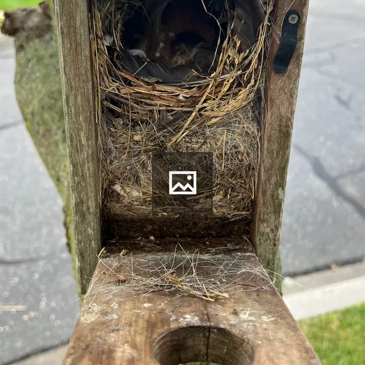 Wooden Birdhouse with Nest
