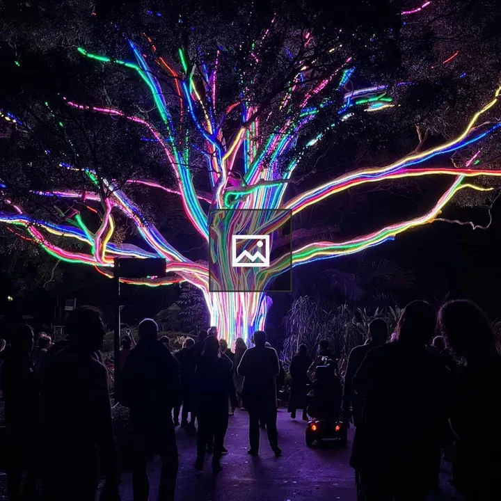 Rainbow-lit tree at night