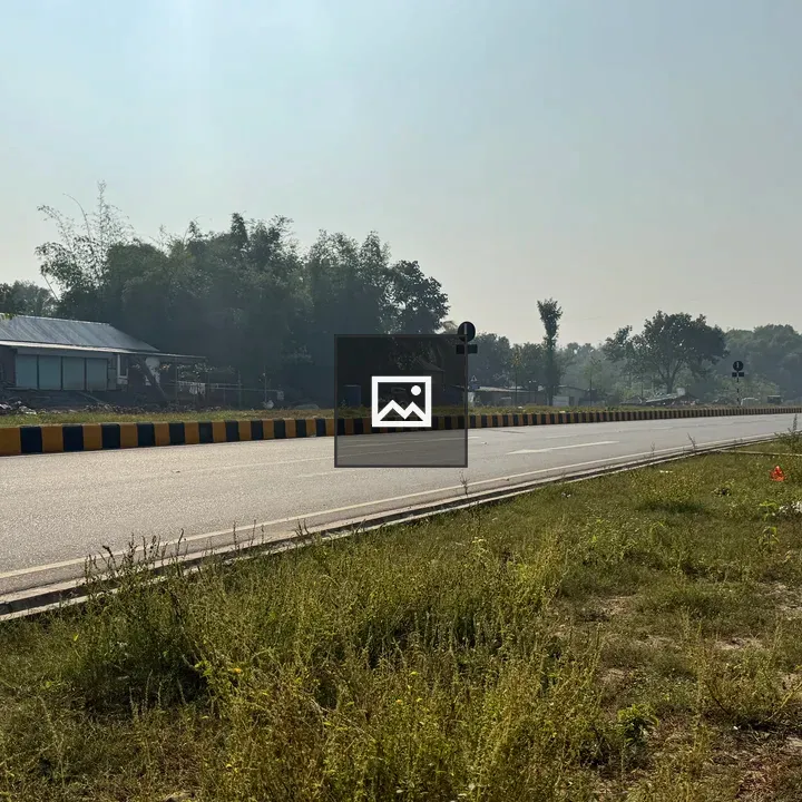 Highway with Trees and Houses
