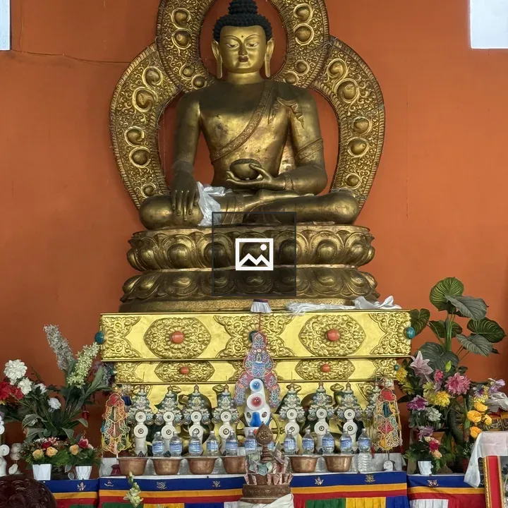 Seated Buddha statue with ornate halo