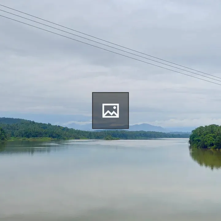 Tropical river at dusk