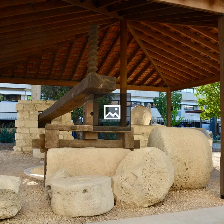 Ancient olive press in Limassol