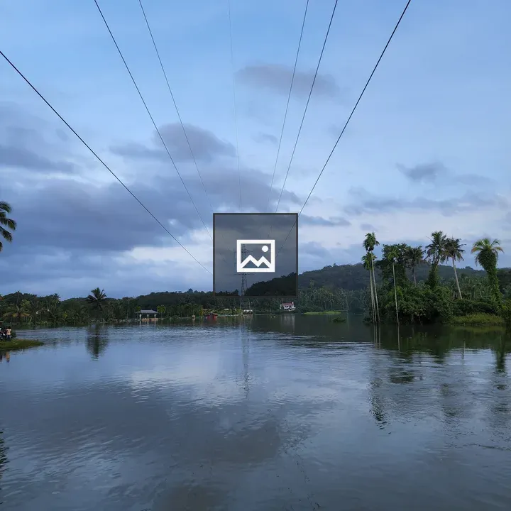 Flooded Paddy Fields