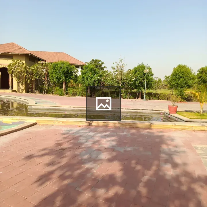 Sunny paved walkway outdoor scene