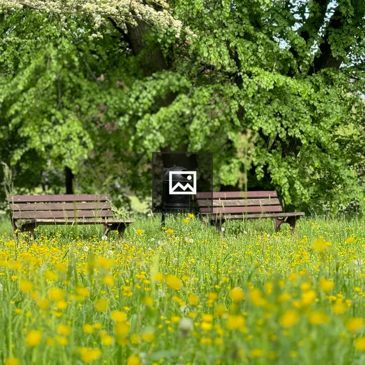 Park benches and flowers