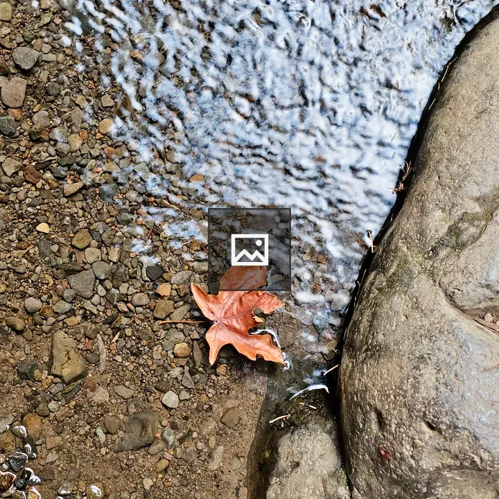 Leaf on River Pebbles