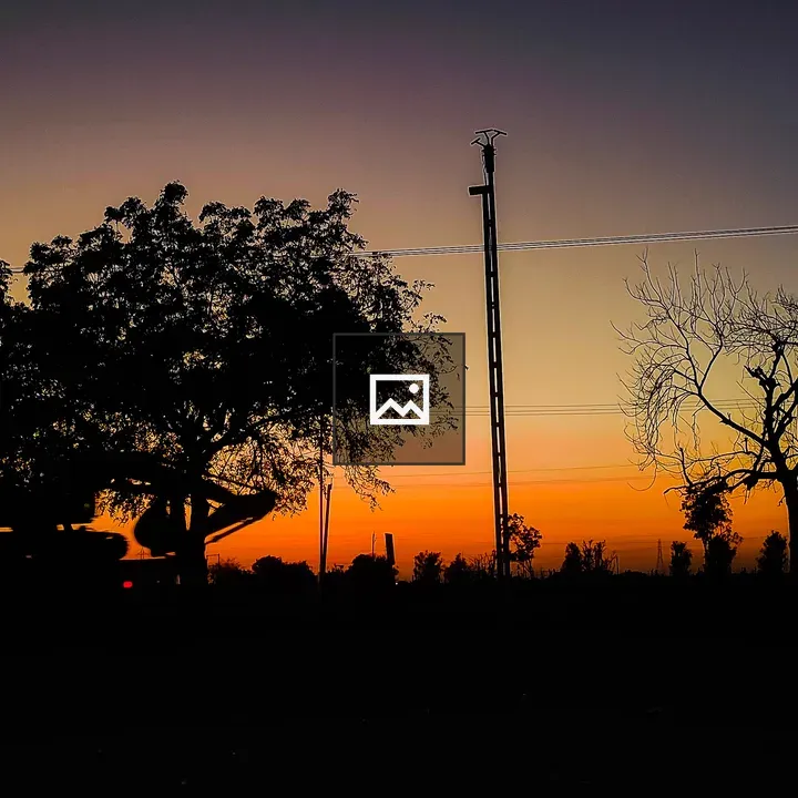 Serene sunset silhouettes of trees