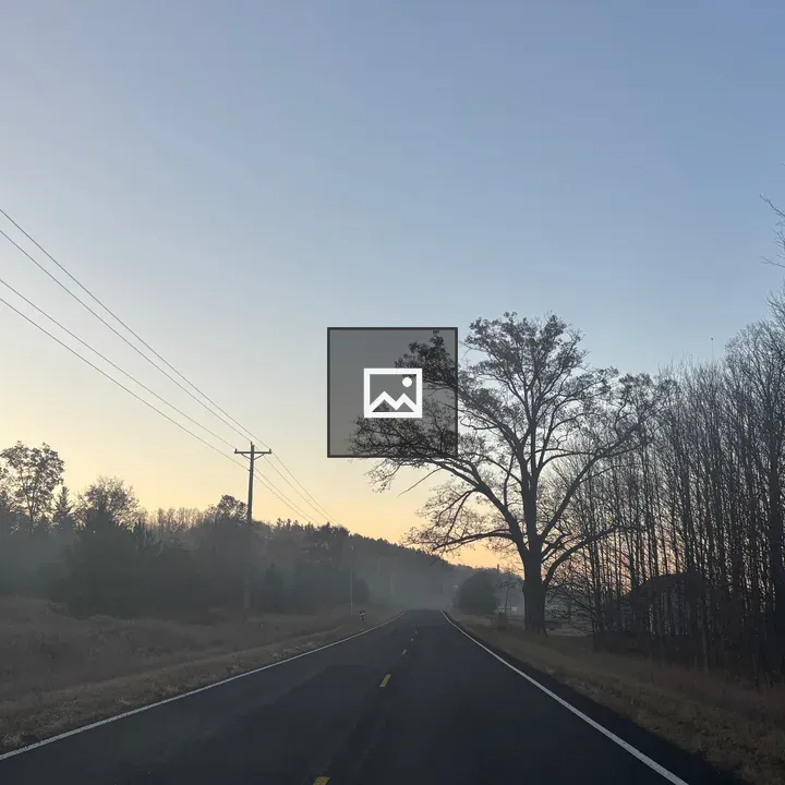 A Road with a lone Tree in Mist