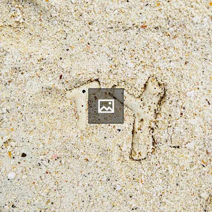 Letter-shaped stones on beach