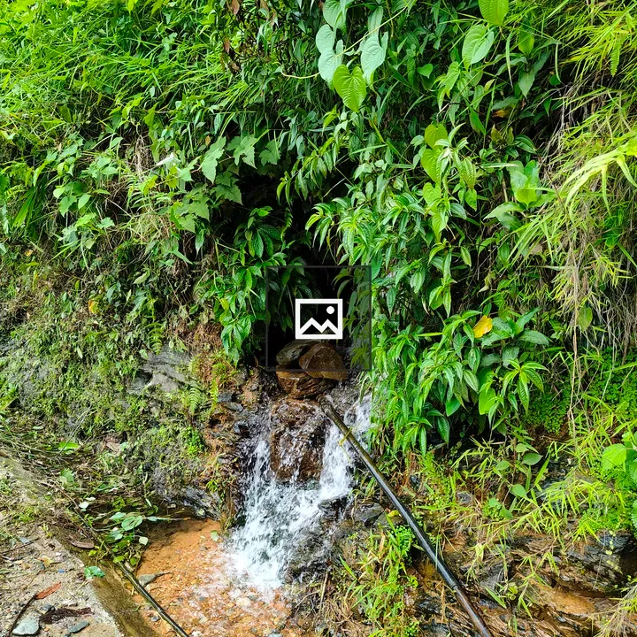Flowing stream down rocky path